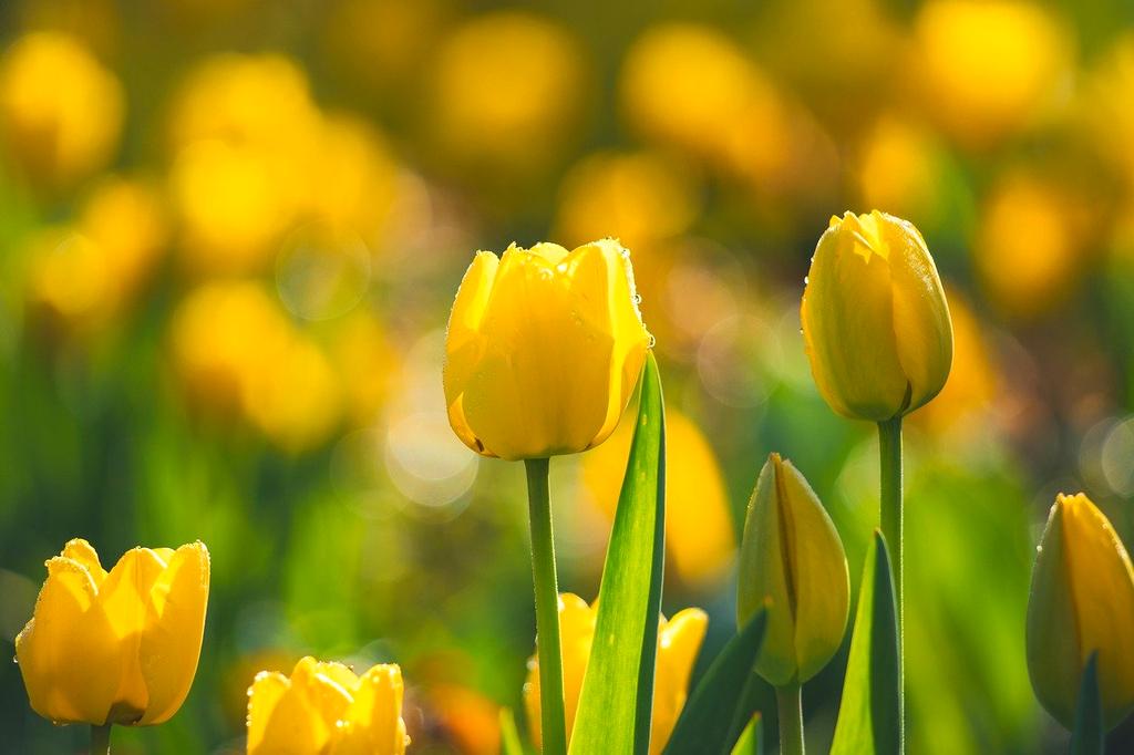 Certyfikat ISO 14001 na biurku pracownika