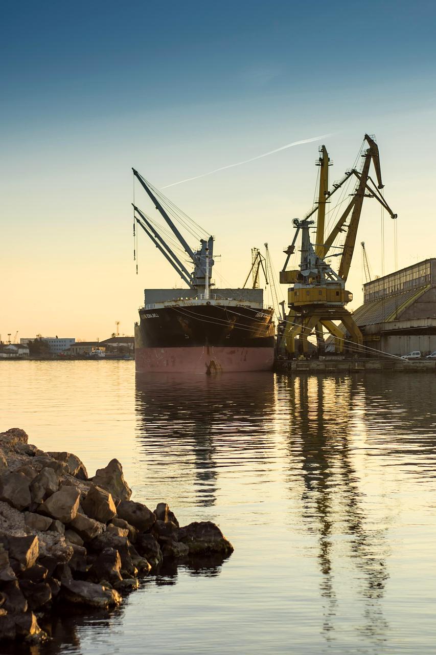 Prezes zarządu firmy logistycznej GreenLogistics