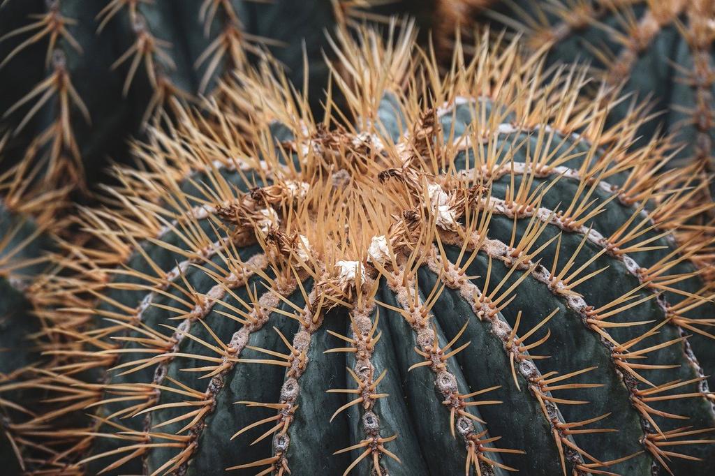 Spotkanie konsultacyjne zespołu qehysoy z klientem omawiające potrzeby ekologiczne