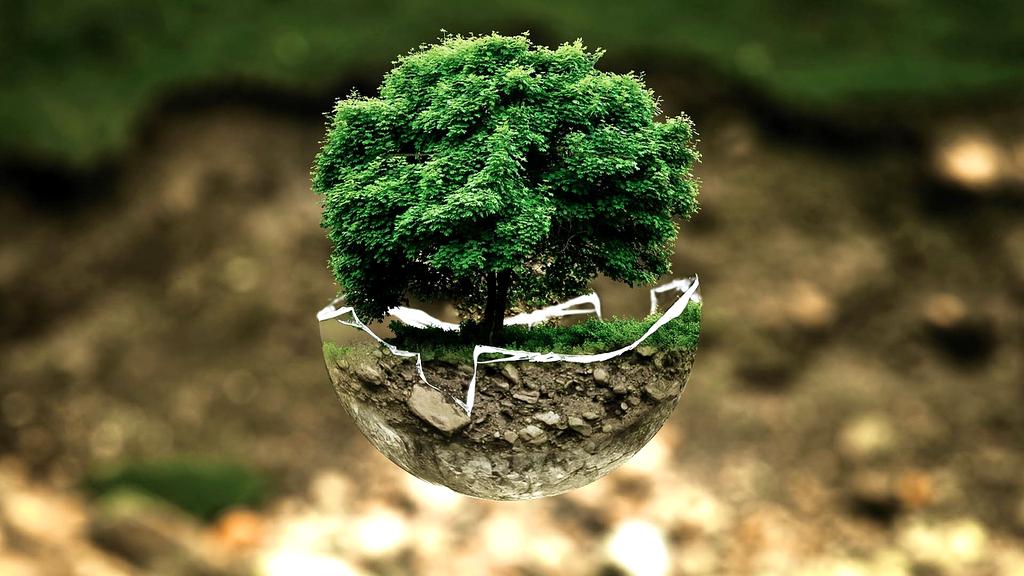 System monitoringu środowiskowego w zakładzie