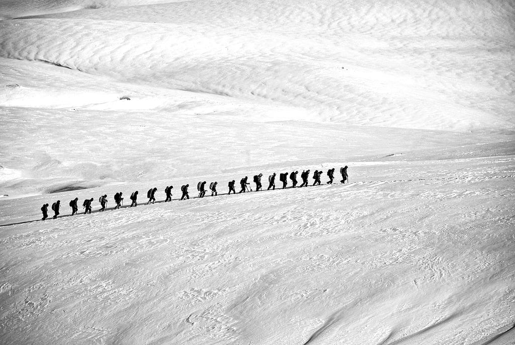 Opracowywanie strategii ekologicznej przez zespół ekspertów qehysoy