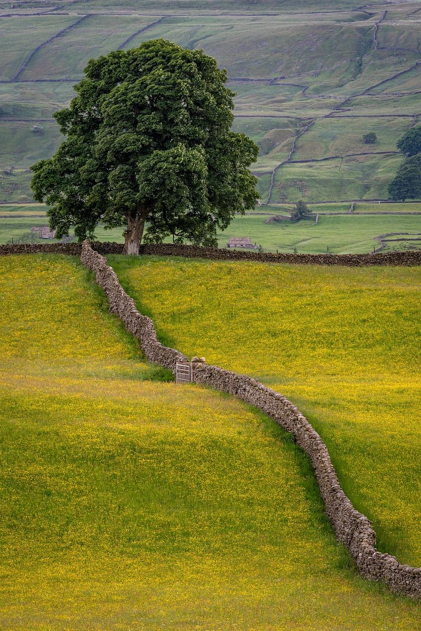 Realizacja zielonej ściany na elewacji budynku biurowego