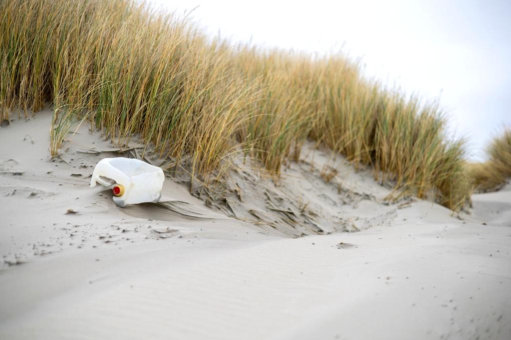 Zespół podczas wdrażania systemu segregacji odpadów w biurze