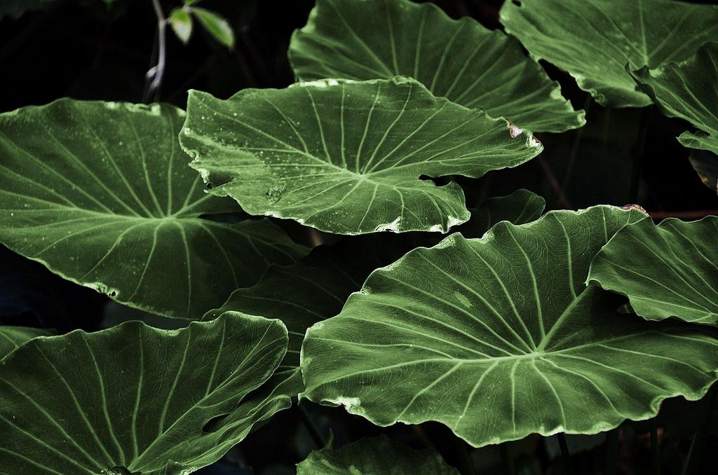 Profesjonalne usługi ekologiczne - zrównoważony rozwój