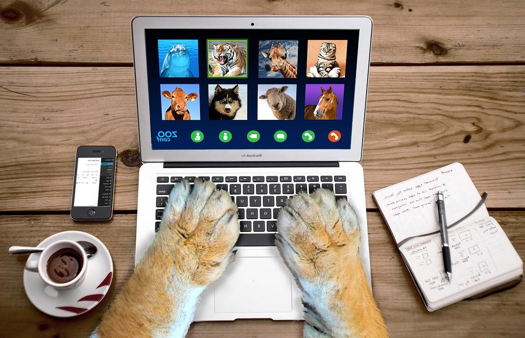 Zespół ekspertów ekologicznych qehysoy podczas spotkania z klientem